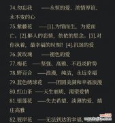 两面花树的花语具体指什么？