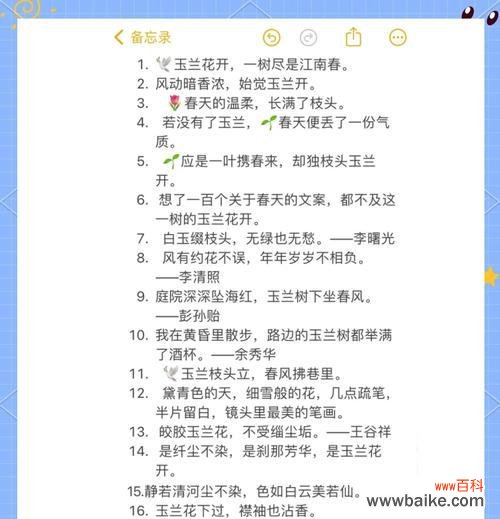 玉兰的花语和象征意义是什么?如何用玉兰表达情感?