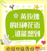 淡黄色与白色玫瑰花共同代表了什么？花语中有哪些特别含义？