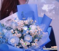 碎冰蓝玫瑰送朋友代表什么？花语有何深意？