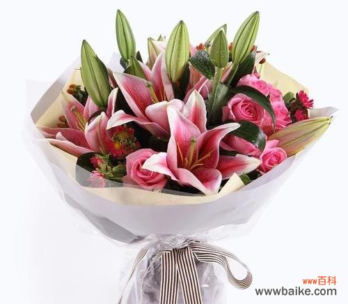 友谊之花 以朋友生日送什么花代表友谊