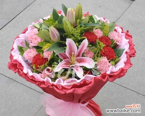 友谊之花 以朋友生日送什么花代表友谊