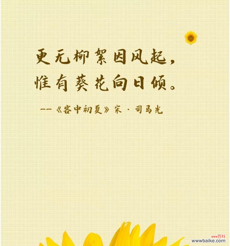 向日葵的浪漫花语是什么？它如何表达爱意？