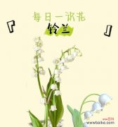 铃兰的花语是什么？它通常用来表达什么？