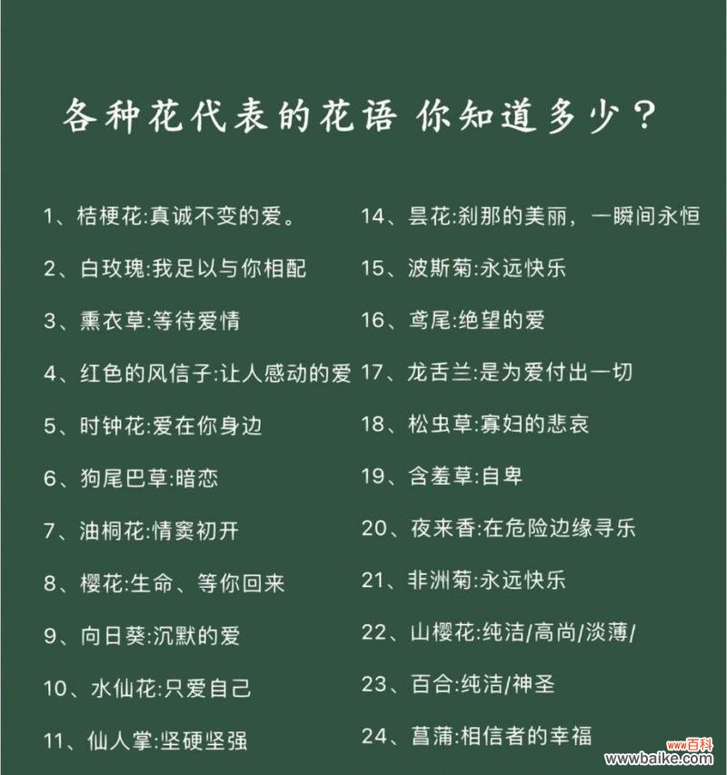 哪种花的花语最受欢迎？花语好的花有哪些？