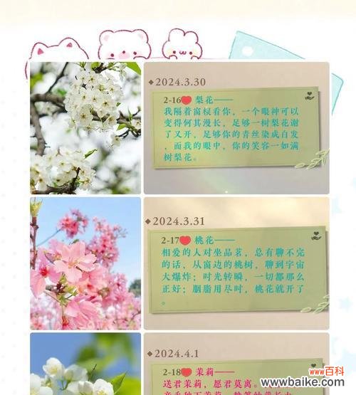 梨花树的花语和寓意有何不同?它们分别代表了什么?