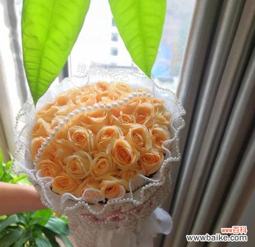 香槟玫瑰花语表达的是什么？