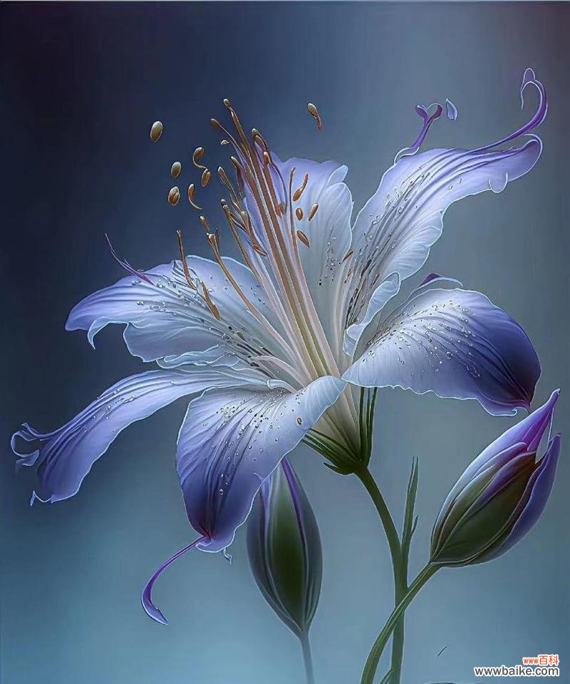 仰慕之情的花语是什么？哪种花代表敬仰？