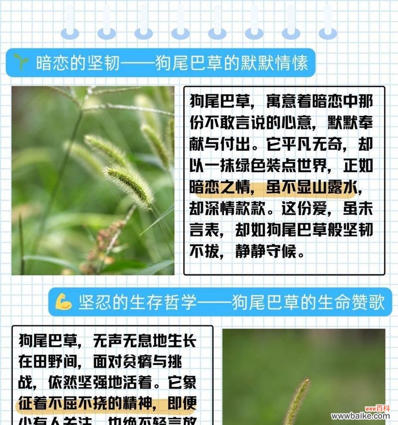 草的花语和功效特点是什么？草的诗词中有哪些花语？