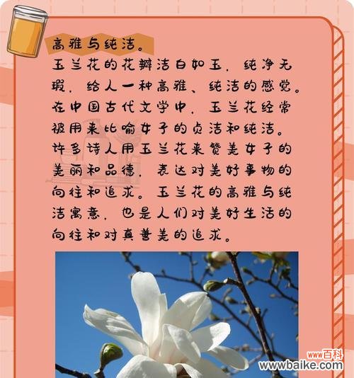 兰黛花的花语代表什么含义？