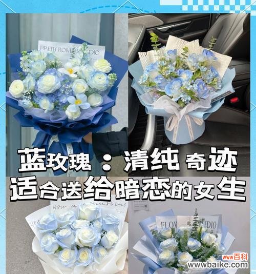 粉色玫瑰的花语是什么？这种颜色的玫瑰有何特别含义？