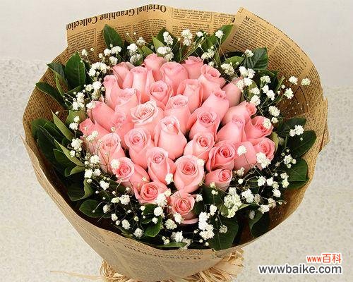 探寻浅粉色玫瑰的花语，传递爱与美的神奇力量 浅粉色玫瑰花语的含义及传达情感的艺术