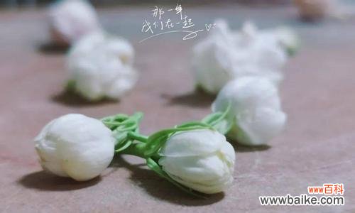 时光花语的含义是什么?读音正确吗?