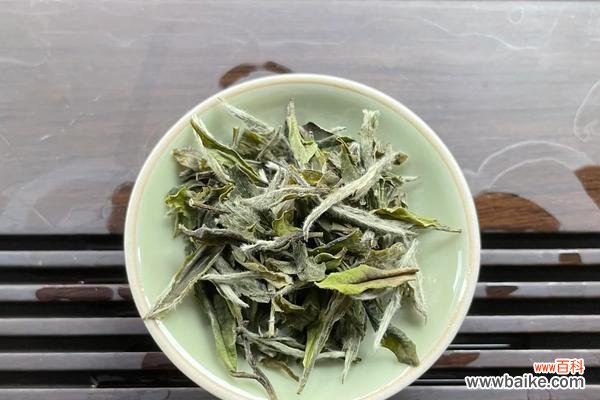 白茶花语代表什么?