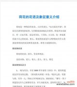 荷花与荷叶的花语有何不同？它们在花语中各自象征着什么？