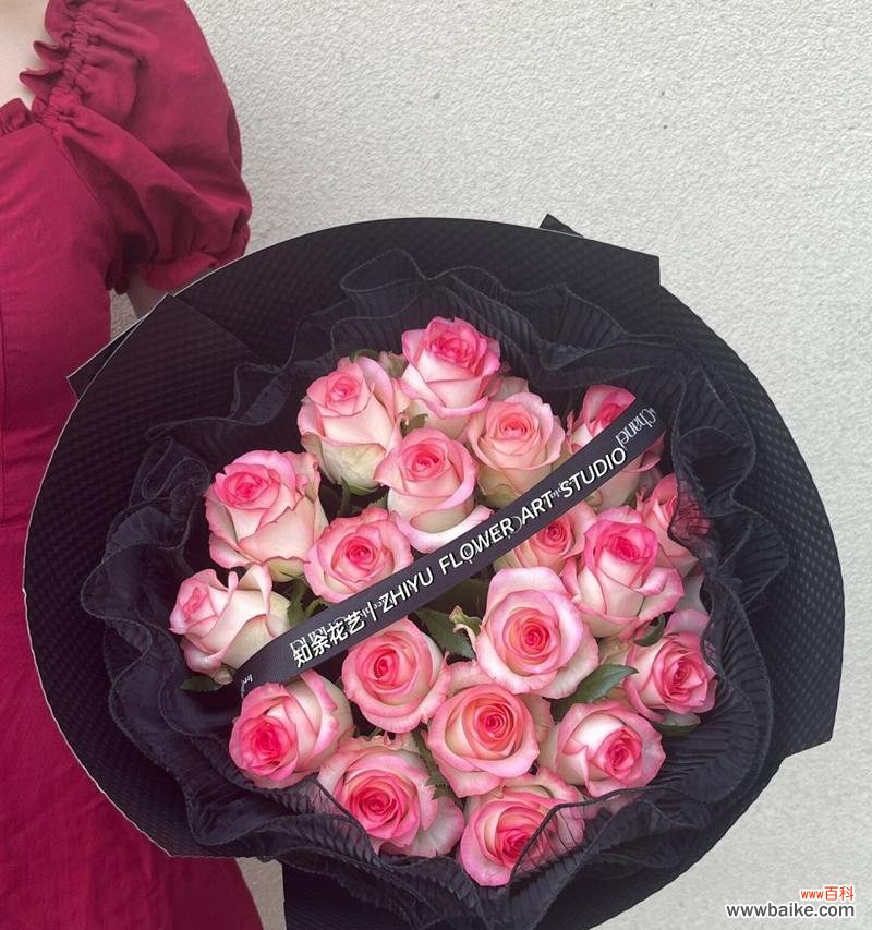 艾莎玫瑰花的花语是什么?它象征着什么?