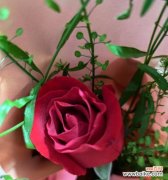 红玫瑰为何最显眼？