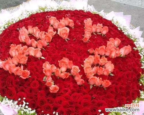 探寻玫瑰花数量背后的暗示 玫瑰花数量的含义