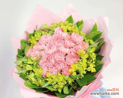 新家搬迁应送哪种花表达祝福?