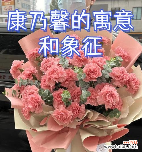 新家搬迁应送哪种花表达祝福?