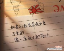 再也没有的花语是什么意思？失去之花的寓意是什么？