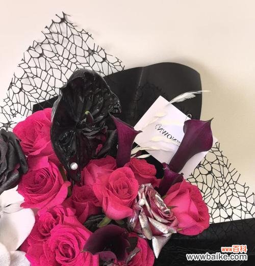 弗洛伊德玫瑰花的含义是什么？