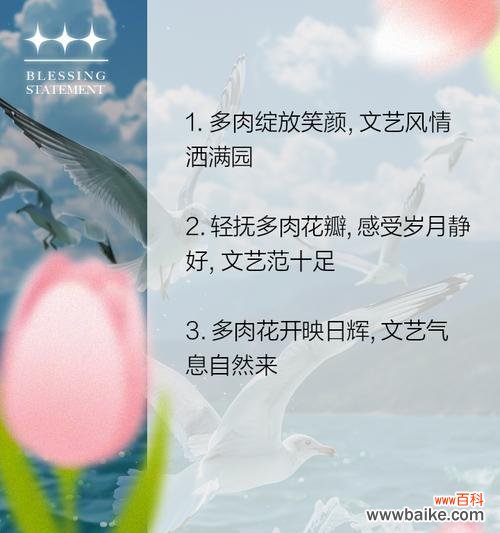 最神奇多肉花语是什么意思?多肉植物的花语有哪些?