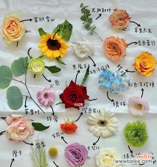 送亲家母时哪种花语最为恰当?