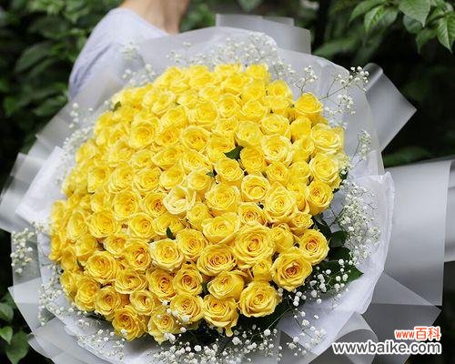 用黄玫瑰表达的爱意和情感 黄玫瑰的情感含义——情侣间的特殊象征