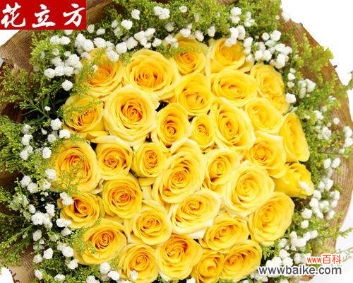 用黄玫瑰表达的爱意和情感 黄玫瑰的情感含义——情侣间的特殊象征