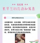 紫罗兰在动漫中的花语是什么？紫罗兰花语的动漫语录有哪些？