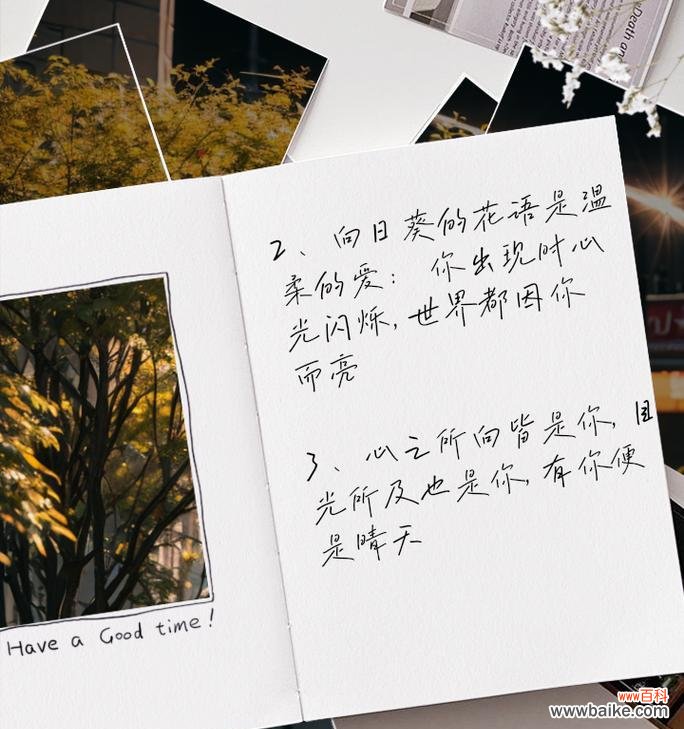 羞涩爱情的花语是什么?适合哪种情感表达?