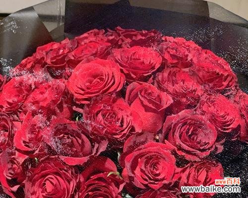 探索玫瑰花的深意,传递情感的真谛 三朵玫瑰花语