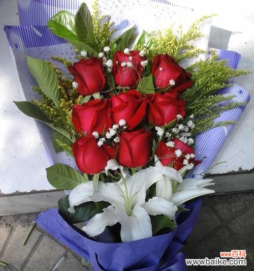 探索玫瑰花的深意,传递情感的真谛 三朵玫瑰花语