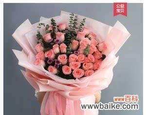 用花语传递深情,解读三十三朵粉玫瑰的秘密 三十三朵粉玫瑰的象征意义