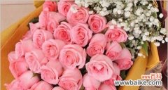 探寻粉玫瑰所传递的情感与寓意 粉玫瑰的花语与意义