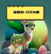 小鹿花语传递了哪些情感？呆萌小鹿象征着什么？