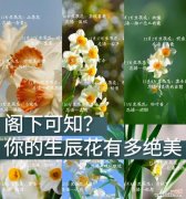 7月8日的花语是什么？这个日期有特定的花卉含义吗？
