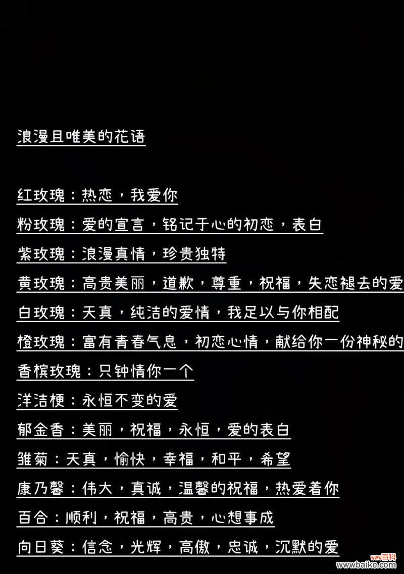 合拍花语表达的是什么情感?它的花语有何特别之处?