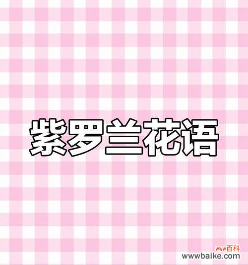 灰紫罗兰花语代表什么？