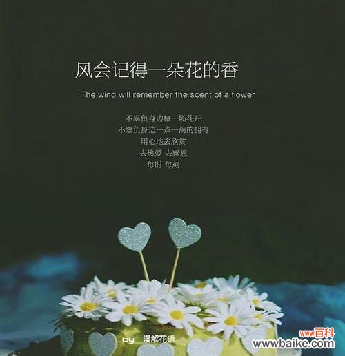 解花语是什么意思?如何正确理解花语的含义?