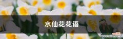 以山水仙花为代表的秋水仙花花语解读 秋水仙花的花语与意义