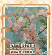 青海棠的寓意和花语是什么？如何表达爱意？