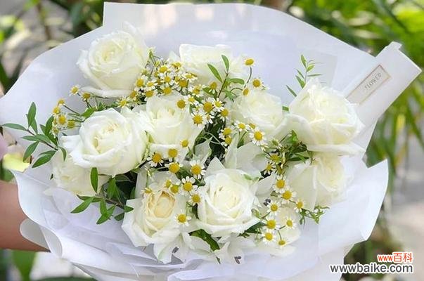 白色玫瑰花戴头上代表什么?