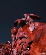 紫檀花的花语有哪些特别之处？