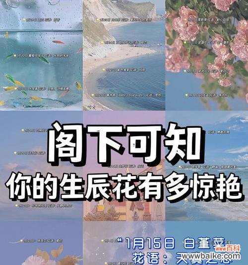 道具花语中示爱是什么意思?它如何表达情感?