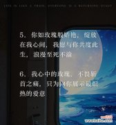 绿色玫瑰传递了哪种情感？