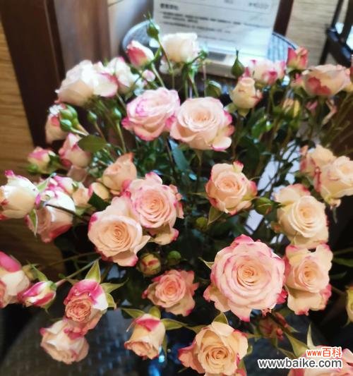 83朵玫瑰花的寓意和花语是什么？