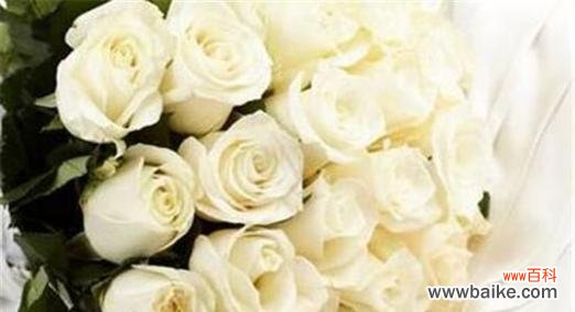 用花语讲述爱情的故事 十二朵玫瑰花的象征意义