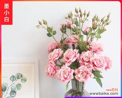 用花语传达情感的艺术之旅 十朵玫瑰的象征意义